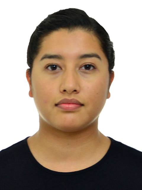 Foto del Perito