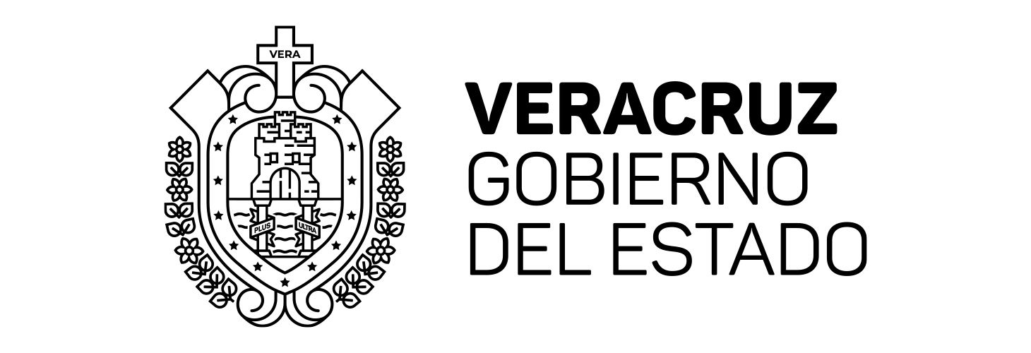 Icono de Veracruz Gobierno del Estado