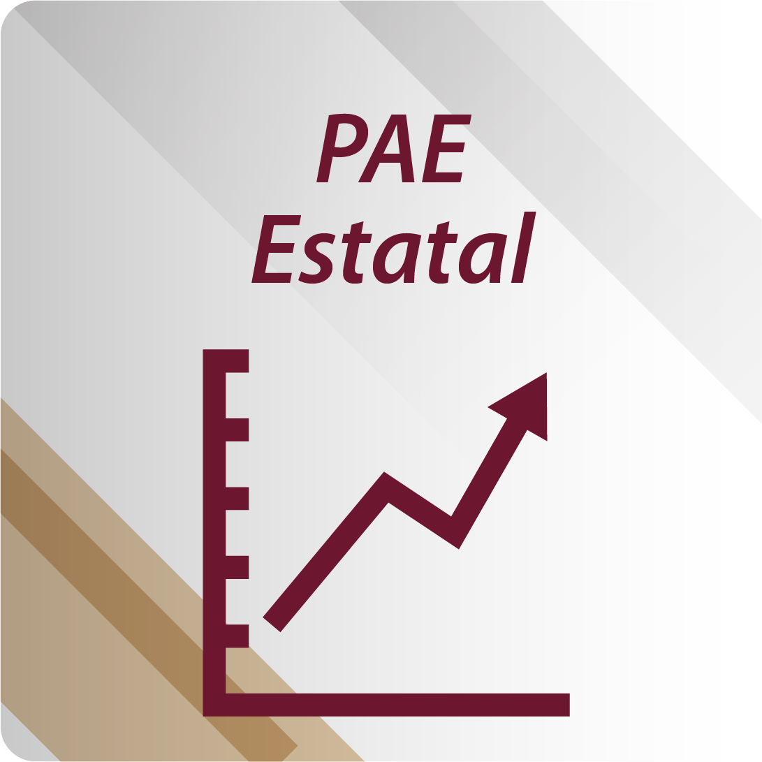 Icono PAE ESTATAL