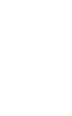 Icono Registro Estatal de Peritos