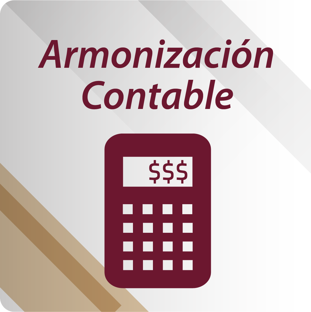 Icono ARMONIZACIÓN CONTABLE