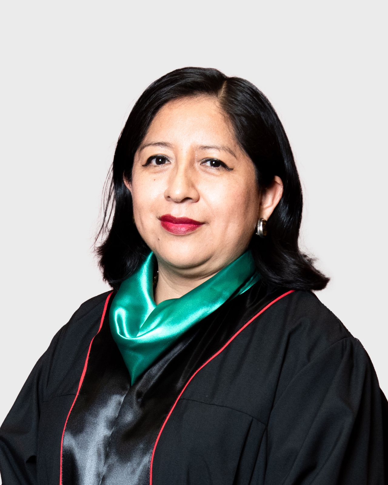 Tribunal Superior de Justicia